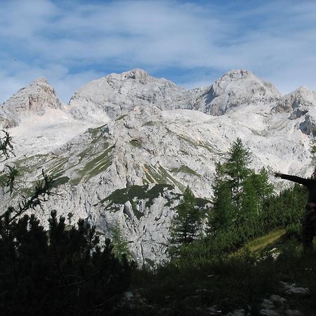 Apartmaji Rabic Bohinj Exteriér fotografie